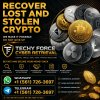 VISIT TECHY FORCE CYBER RETRIEVAL FOR CRYPTOCURRENCY RECOVERY EXPERT SOLUTION.jpeg